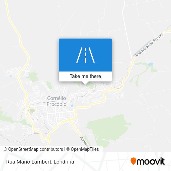 Rua Mário Lambert map