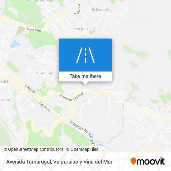 Avenida Tamarugal map