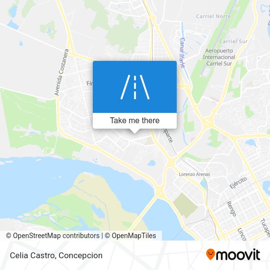 Celia Castro map