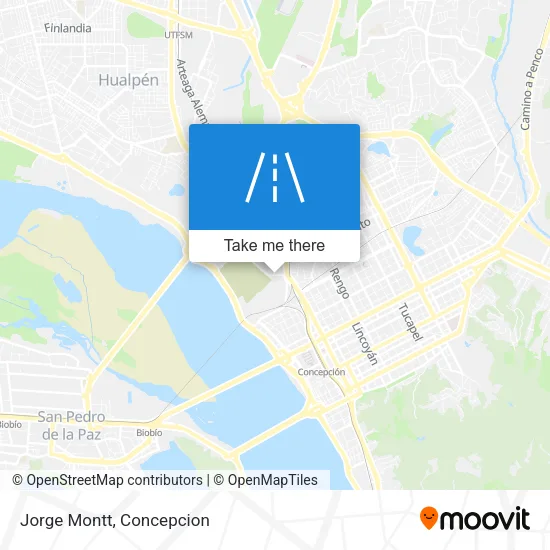 Jorge Montt map