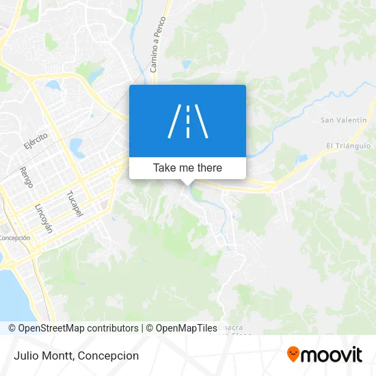Julio Montt map