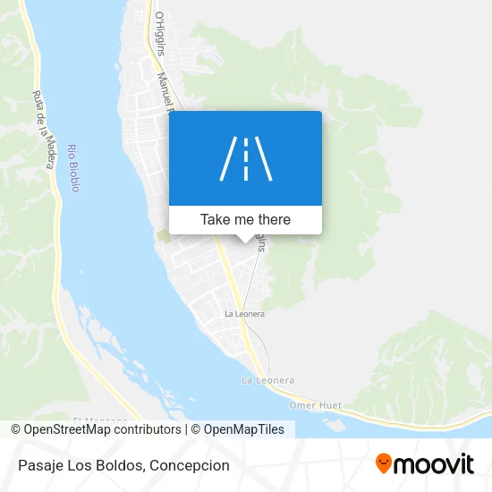 Pasaje Los Boldos map
