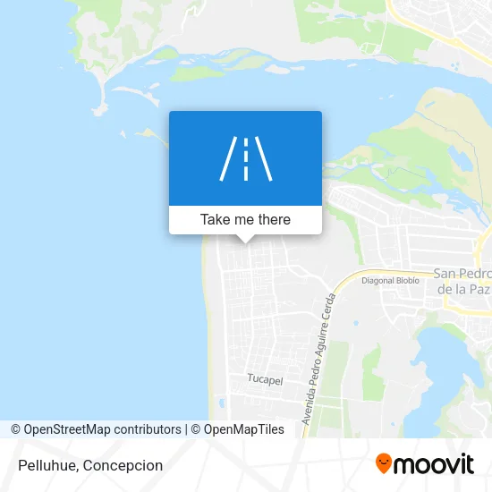 Pelluhue map