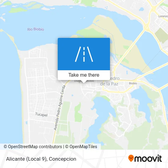 Mapa de Alicante (Local 9)