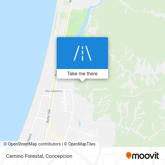 Mapa de Camino Forestal