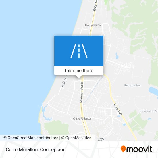 Cerro Murallón map