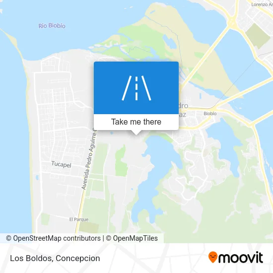 Los Boldos map