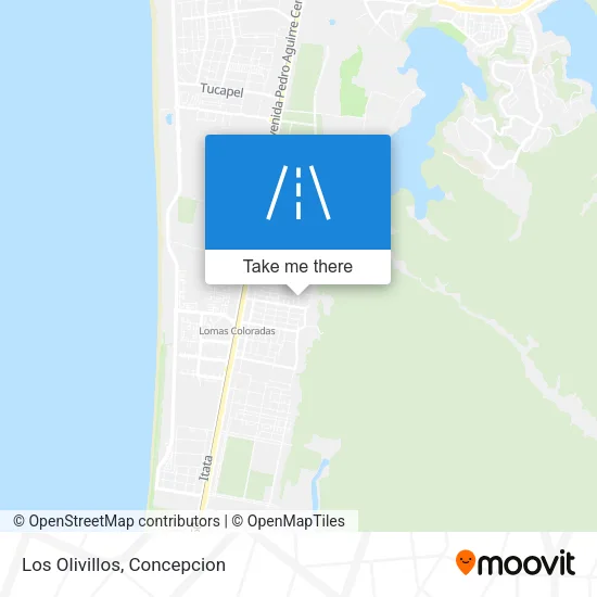 Los Olivillos map