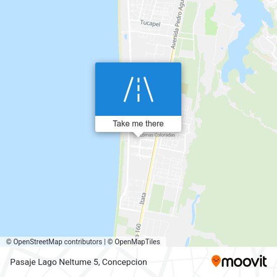 Pasaje Lago Neltume 5 map