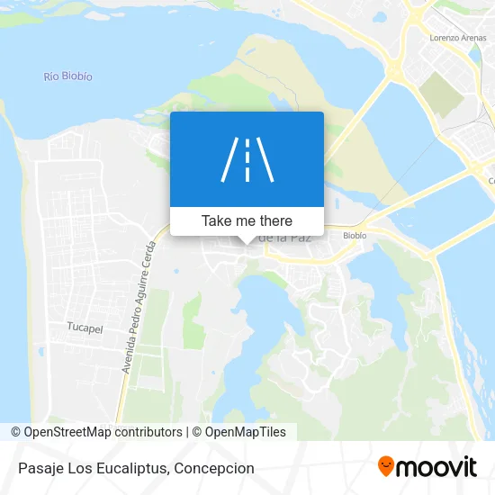 Mapa de Pasaje Los Eucaliptus