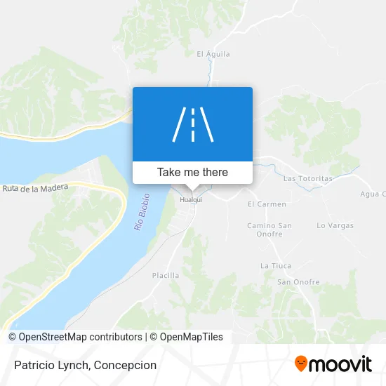 Patricio Lynch map