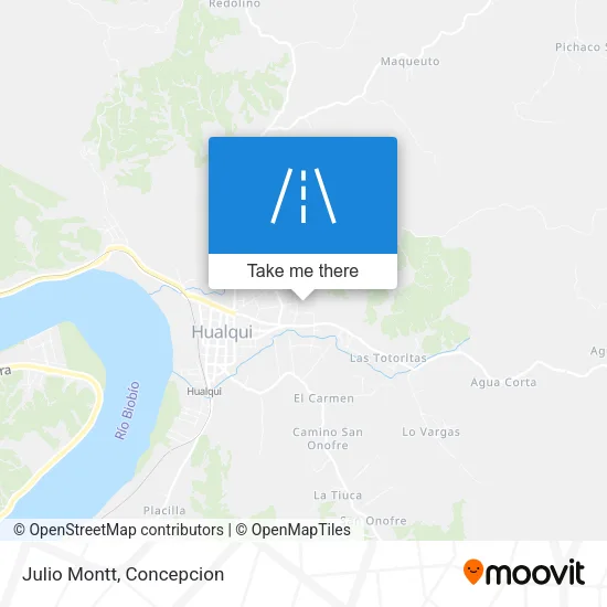 Julio Montt map
