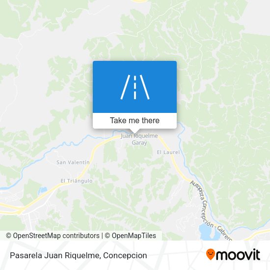 Mapa de Pasarela Juan Riquelme