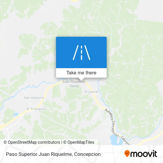 Paso Superior Juan Riquelme map