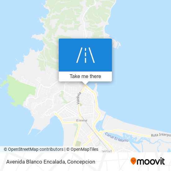 Avenida Blanco Encalada map