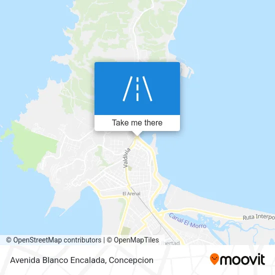 Mapa de Avenida Blanco Encalada