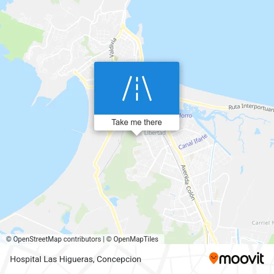 Hospital Las Higueras map
