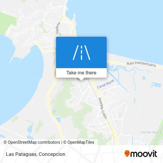 Las Pataguas map