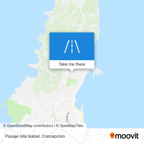 Pasaje Isla Isabel map