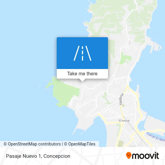 Pasaje Nuevo 1 map
