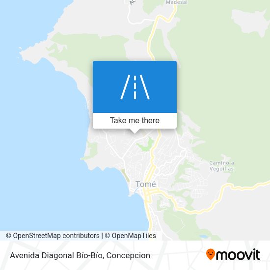 Avenida Diagonal Bío-Bío map