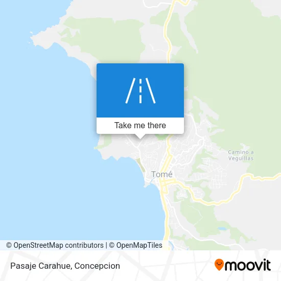 Pasaje Carahue map