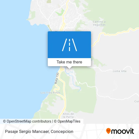 Pasaje Sergio Mancaer map