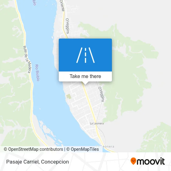 Mapa de Pasaje Carriel