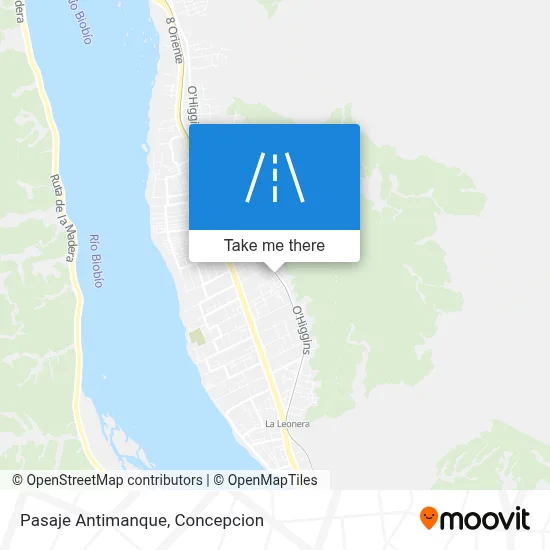 Pasaje Antimanque map