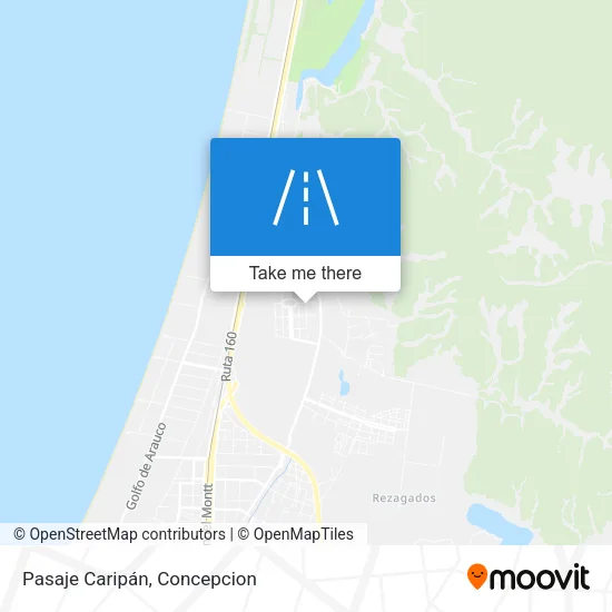 Mapa de Pasaje Caripán