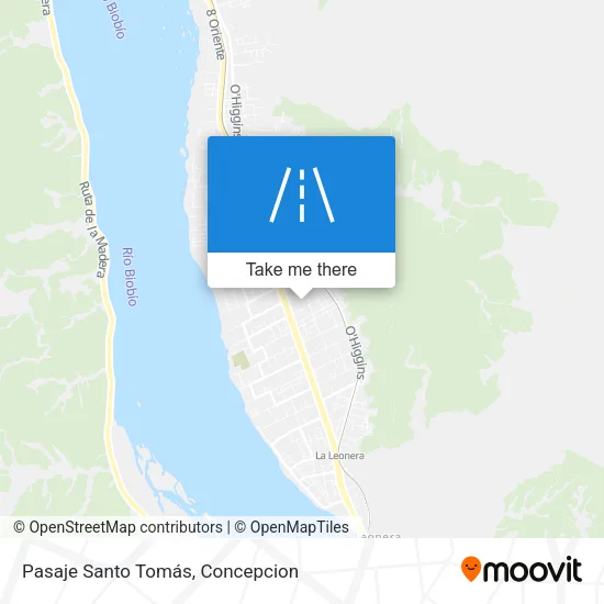 Pasaje Santo Tomás map