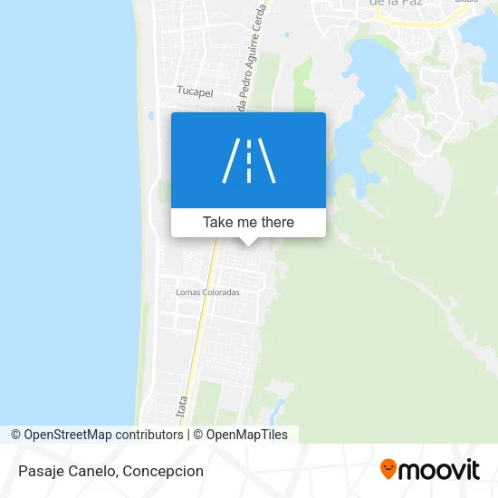 Mapa de Pasaje Canelo