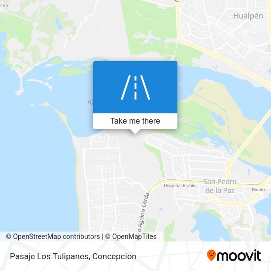 Mapa de Pasaje Los Tulipanes