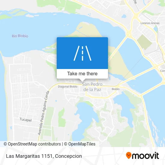 Mapa de Las Margaritas 1151