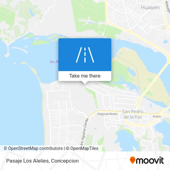 Mapa de Pasaje Los Alelíes