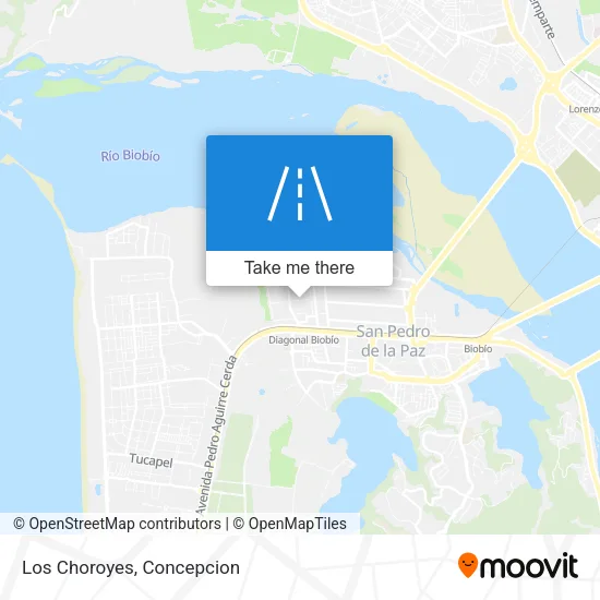 Mapa de Los Choroyes
