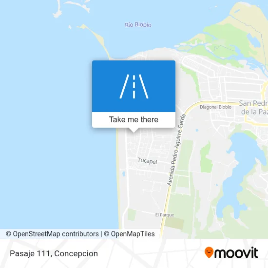 Pasaje 111 map