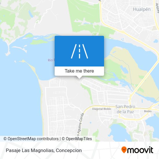 Pasaje Las Magnolias map