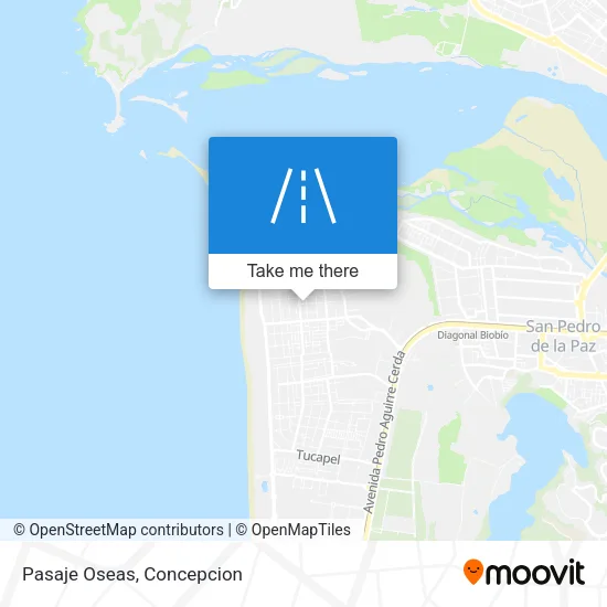 Pasaje Oseas map