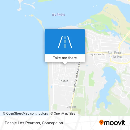 Pasaje Los Peumos map