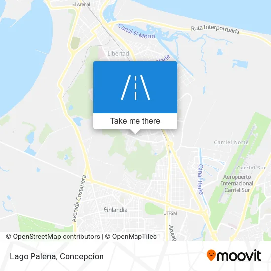 Lago Palena map