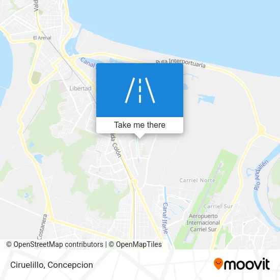 Ciruelillo map