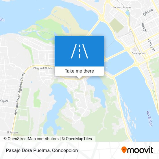 Pasaje Dora Puelma map