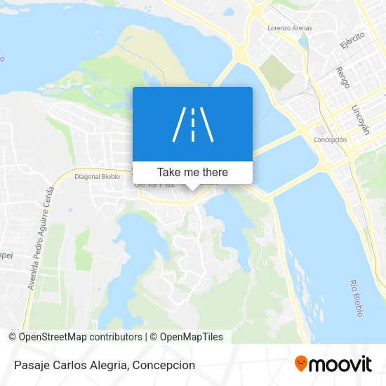 Pasaje Carlos Alegria map