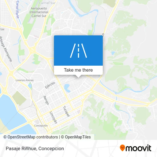 Pasaje Riñhue map