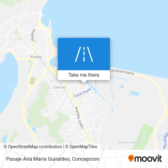 Pasaje Ana María Guiraldes map