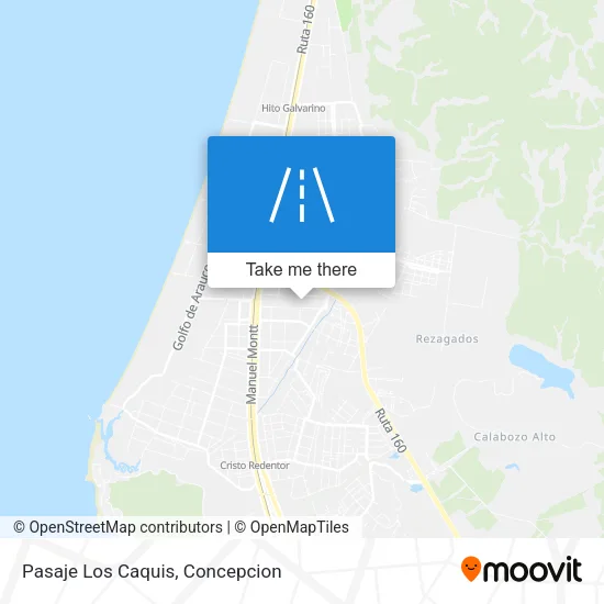 Pasaje Los Caquis map