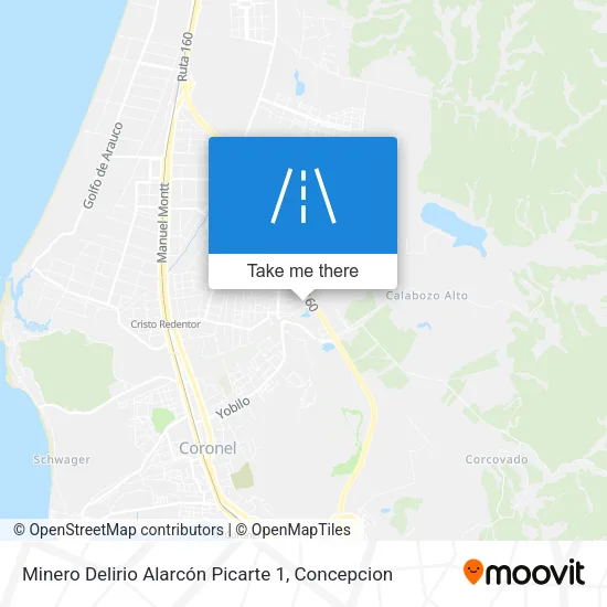 Mapa de Minero Delirio Alarcón Picarte 1