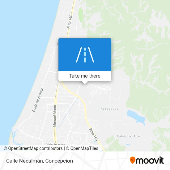Mapa de Calle Neculmán