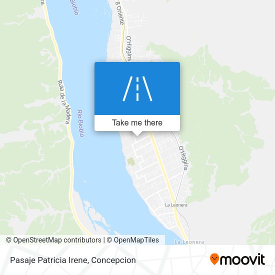 Pasaje Patricia Irene map
